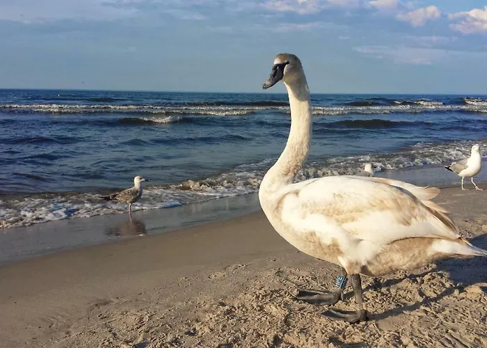 Maustyle Osiedle Polanki Kołobrzeg